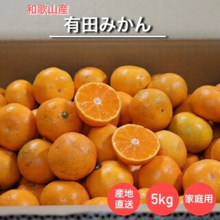 和歌山産　有田みかん　5kg　(S～Lサイズ混合)