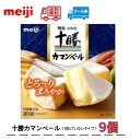 明治 北海道十勝カマンベールチーズ切れていないタイプ 90g×9個　meiji クール便　とろり　まろやか　送料