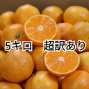 【2025年11月下旬ごろより順次発送】和歌山産 有田みかん 5kg (2S〜2Lサイズ混合)【※超訳あり】