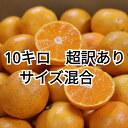 【2025年11月下旬ごろより順次発送】和歌山産 有田みかん 10kg (2S〜2Lサイズ混合)【※超訳あり】