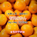 【2025年11月下旬ごろより順次発送】和歌山産 有田みかん 2kg~10kg(各サイズ混合)【※超訳あり】