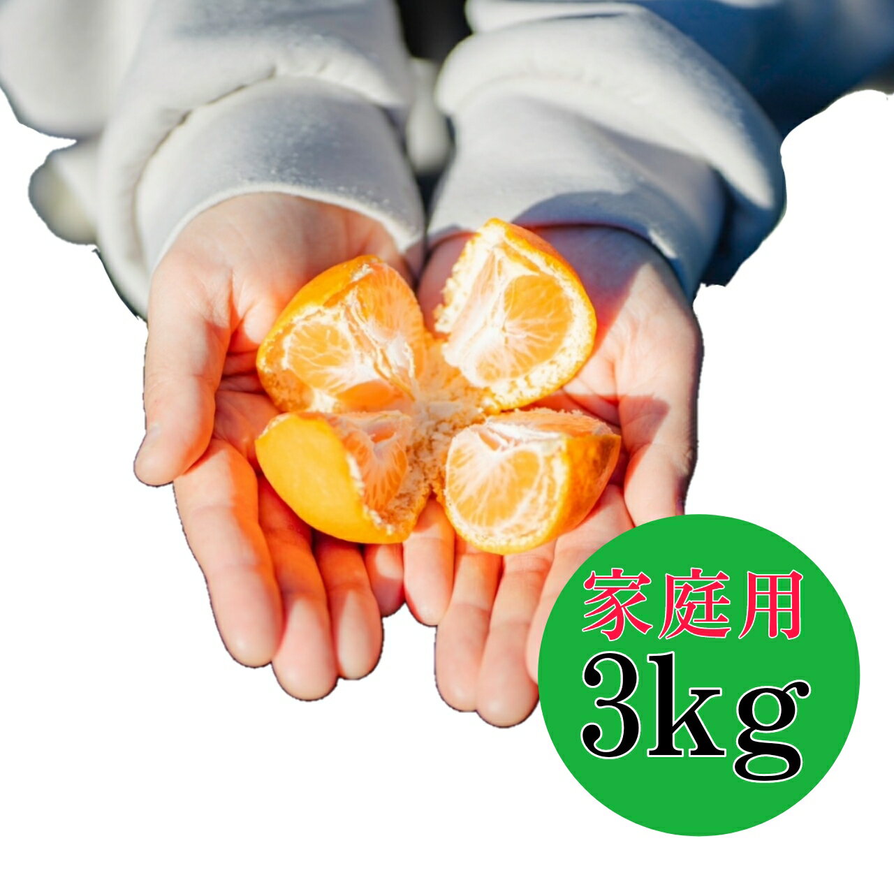 【2025年11月下旬より順次発送】和歌山産 有田みかん 3kg 【訳あり】(S~Lサイズ混合)