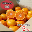 【2025年11月下旬ごろより順次発送】和歌山産 有田みかん 5kg 秀品(2S〜Lサイズ混合)