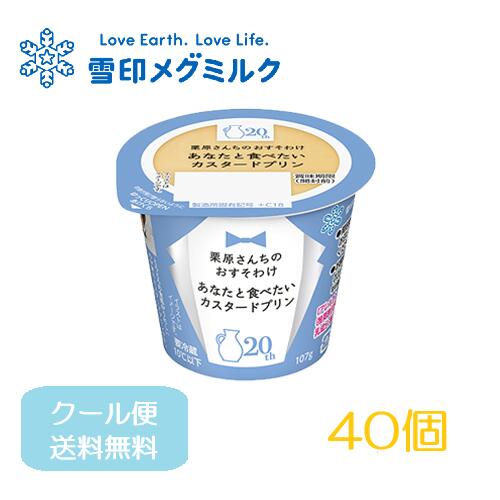 雪印 メグミルク 恵 プリン 栗原さんちのおすそわけ あなたと食べたいカスタードプリン 40個