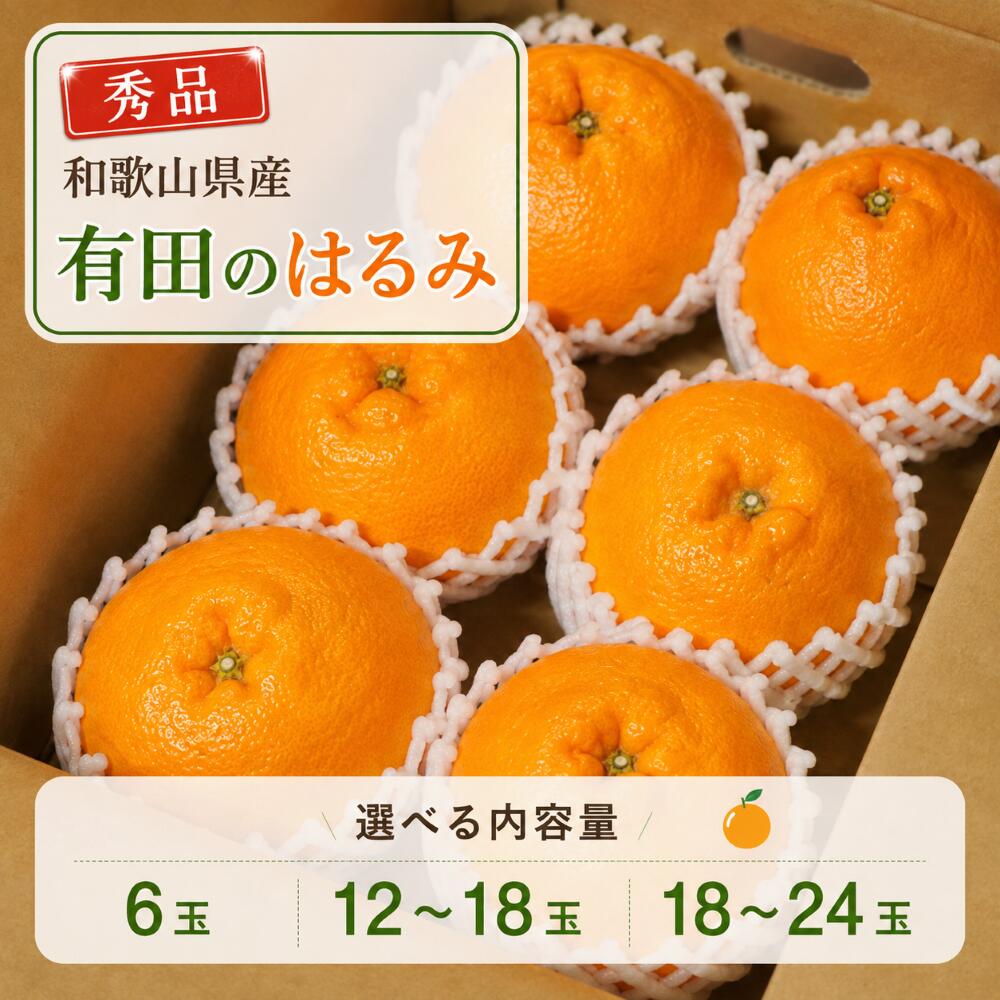 楽天市場】和歌山はるみみかんの通販