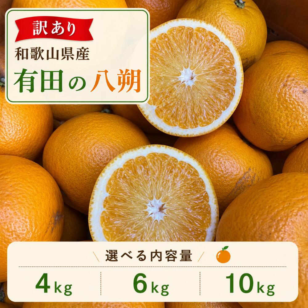 楽天市場】八朔 はっさくの通販