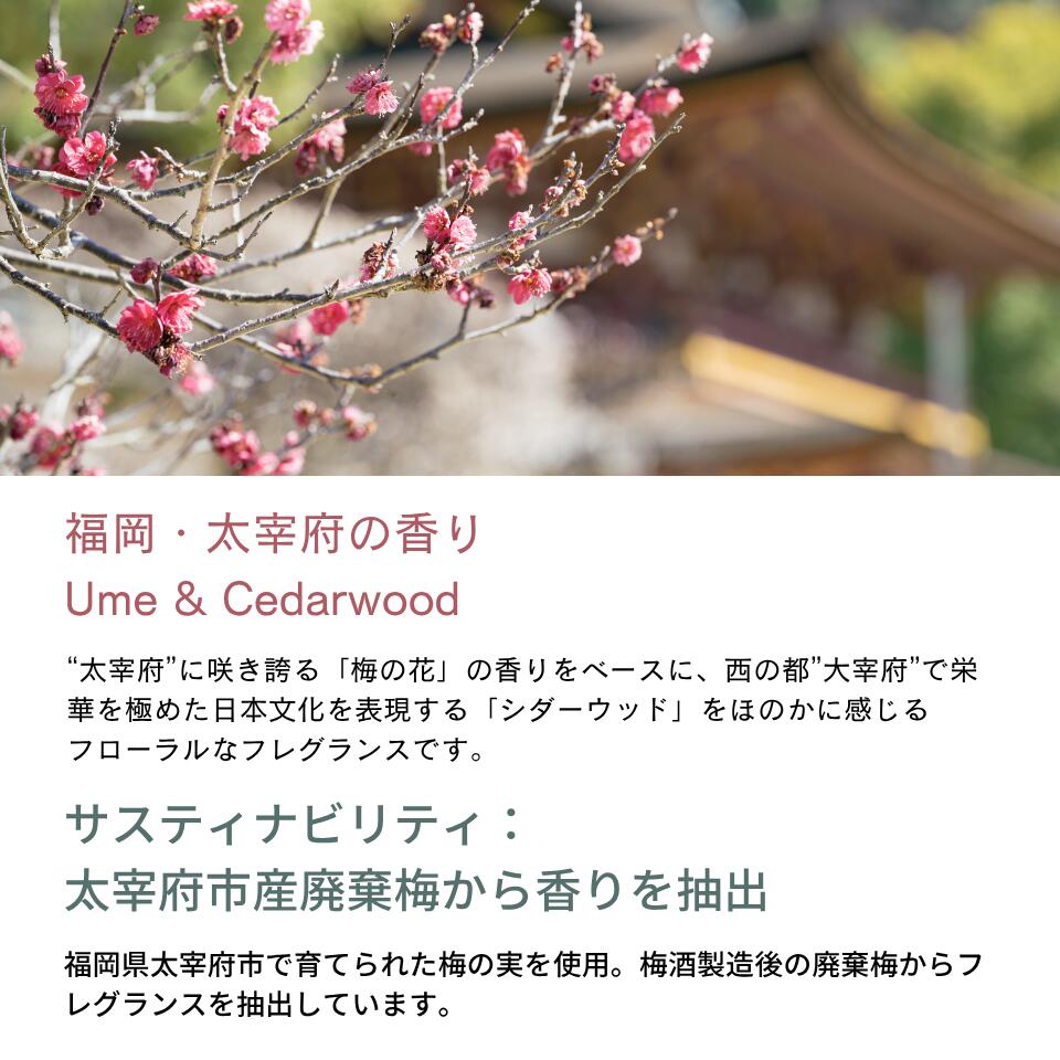 9KOS ��ꥵ��ץ� ����२�å� �����ɥ� �롼��ߥ��ȥ��ץ졼 �꡼�ɥǥ��ե塼���� ��� ��� ����ץ� �ƥ����� �ե쥰��� �ʥ�����ե쥰��� �����ƥ��ʥ֥� �� ���� �彣���������� ŷ��������