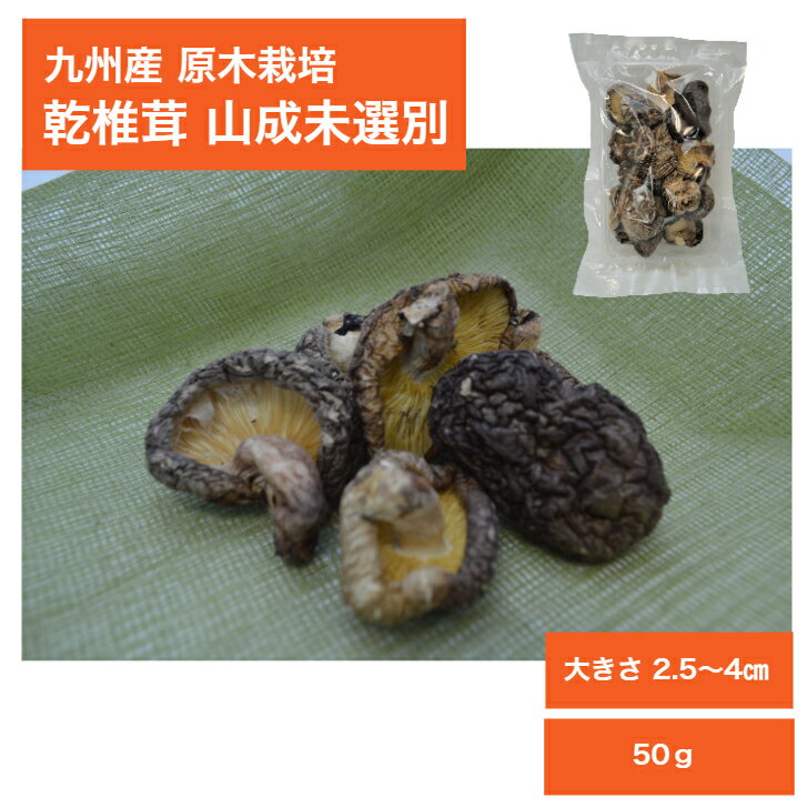 九州産 原木栽培乾椎茸 山成未選別50g【干しいたけ 干ししいたけ 干し椎茸 乾椎茸 乾し椎茸 乾ししいたけ 乾燥椎茸 乾燥しいたけ 乾しいたけ 原木しいたけ 原木椎茸 椎茸原木 椎茸 しいたけ シイタケ 国産 大分産 宮崎産 熊本産 鹿児島産】