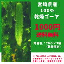 【1000円ポッキリ】【送料無料】宮崎県産 乾燥ゴーヤ 20g×3 お試しセット【 ごーや ゴーヤ 乾燥ごーや 乾燥ゴーヤ にがうり 苦瓜 ニガウリ にがうり ...
