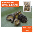九州産 原木栽培乾椎茸 山成未選別300g【干しいたけ 干ししいたけ 干し椎茸 乾椎茸 乾し椎茸 乾ししいたけ 乾燥椎茸 乾燥しいたけ 乾しいたけ 原木しいたけ...
