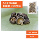 九州産 原木栽培乾椎茸 小粒どんこ300g【干しいたけ 干ししいたけ 干し椎茸 乾椎茸 乾し椎茸 乾ししいたけ 乾燥椎茸 乾燥しいたけ 乾しいたけ 原木しいたけ 原木椎茸 椎茸原木 椎茸 しいたけ シイタケ 冬 どんこ 大容量 国産 大分産 宮崎産 熊本産 鹿児島産】