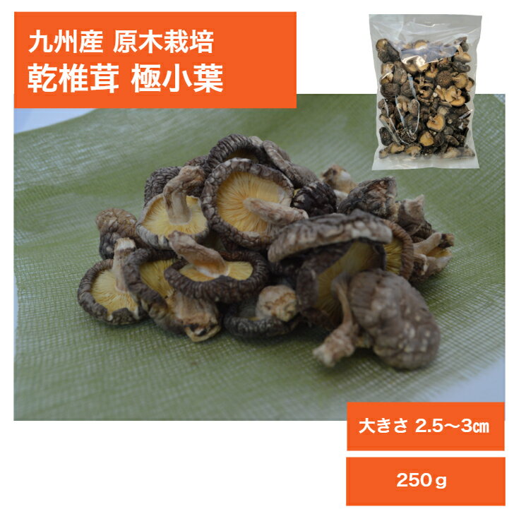 九州産 原木栽培乾椎茸 極小葉250g