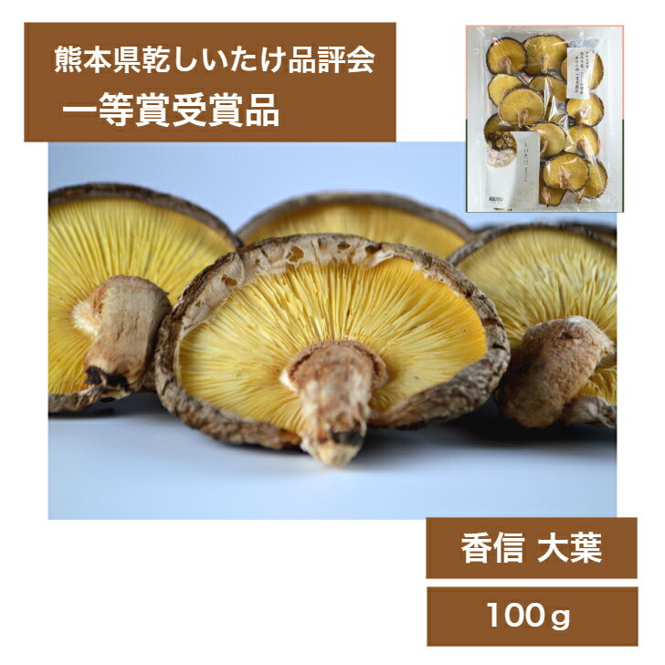 【熊本県乾しいたけ品評会 一等賞受賞品】乾椎茸 特上の撰 香信大葉 100g　※贈答用(ギフト箱なし)