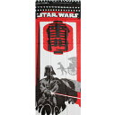 【特価】スターウォーズ和てぬぐい「雷門」SW-TOWEL-36 和柄 日本