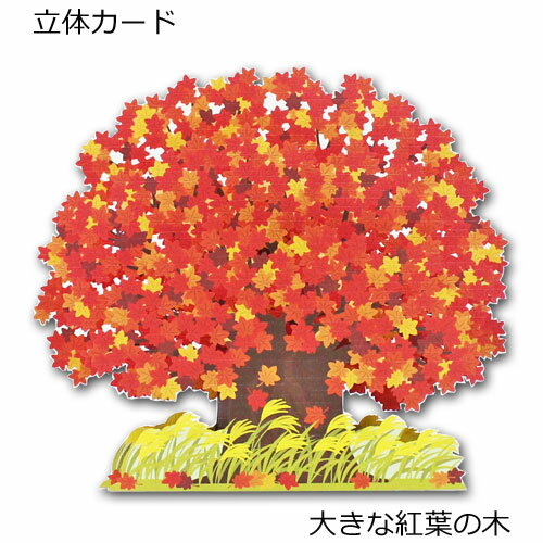 Rakuten - 秋の立体カード「大きな紅葉の木」 ポップアップカード 多目的カード メッセージカード 花 気持ち ダイカット 封筒付き ホールマーク