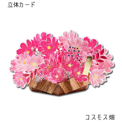 秋柄ポップアップカード「コスモス畑」立体カード 多目的カード メッセージカード 自然 風景 花 気持ち 定形内 封筒付き APJのサムネイル