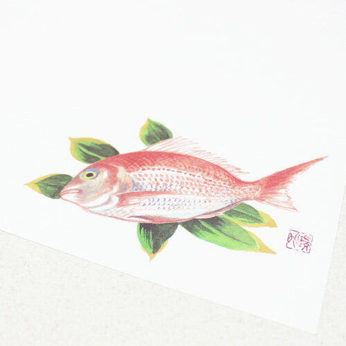 和紙テーブルマット「鯛」10枚入敷き紙 敷紙 ランチョンマット ペーパーランチョンマット 使い捨て 日本製 カミイソ産商