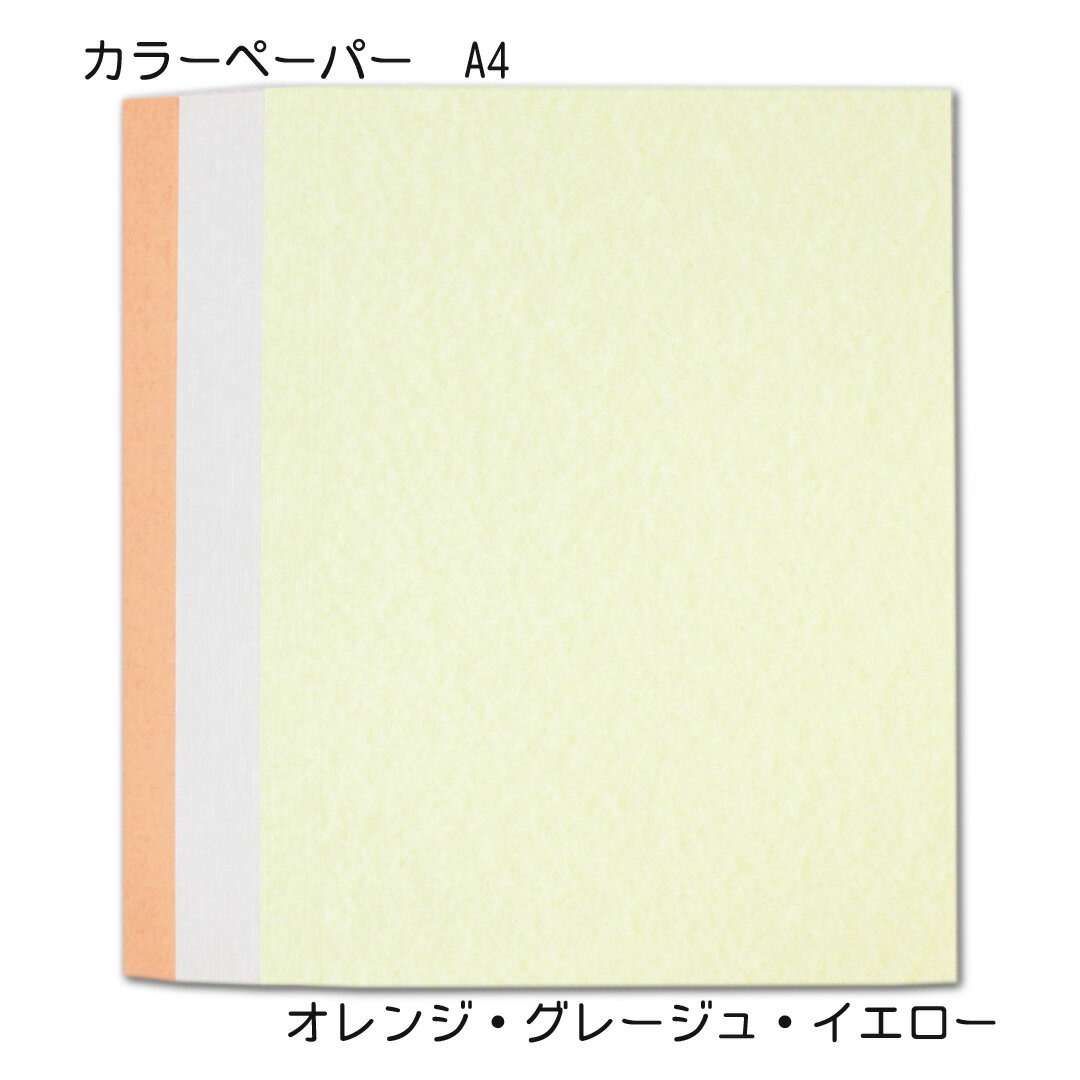 A4サイズのカラーペーパーです。印刷も手書きも適した用紙です。POPの作成や、メッセージカードなど様々な用途に使用できる便利なカラー用紙です。ちぎって使ってもいい雰囲気の紙になります。オリジナル感と華やかさを作りやすい紙です。 商品情報 サイズ 21×29.7cm 内容 各色20枚 全60枚入り ラッピング 和風or洋風 配送方法 2個までメール便配送 上記以上は宅配便配送