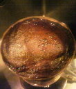 マンデリン ブラジル 珈嗜園ブレンド ブラジル深煎り 500g4種 送料無料 コーヒー豆 珈琲 自家焙煎 コーヒー 2kg 自家焙煎　コーヒー 六甲揺るがす スペシャル コーヒー豆　福袋