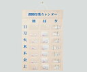 週間投薬カレンダー 1日3回用