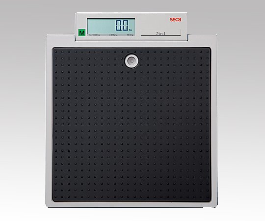 デジタルフラットスケール[検定付]4級 seca877