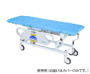 プロシェアストレッチャーカバー 100枚入