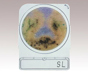 コンパクトドライ(TM) SL(サルモネラ属菌測定用) 4枚×10袋 06732