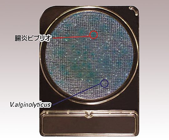 コンパクトドライ （腸炎ビブリオ測定用/4枚×10袋） 06748VP