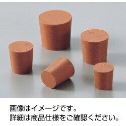 �֥����� No.9��3-343-0822