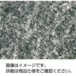 親水性PTFE メンブレンフィルタ H020A047A　3-314-0273