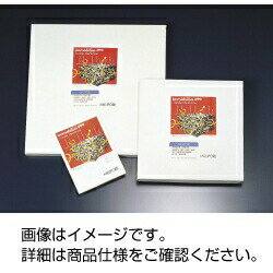 タンパク質用イモビロン-Pは、ウエスタンブロッティング用として最もポピュラーで汎用性の高いPVDFメンブレン（0.45μm）です。