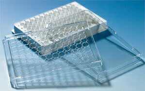 �ޥ������ץ졼�ȳ� ����� 96 100��