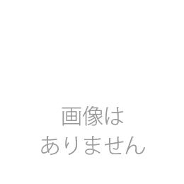 メンブレンフィルターA045H047A 滅菌 100枚