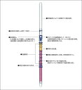 ガステック　ガス検知管　4LT　硫化水素