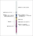 ガステック ガス検知管 91TP ホルムアルデヒド