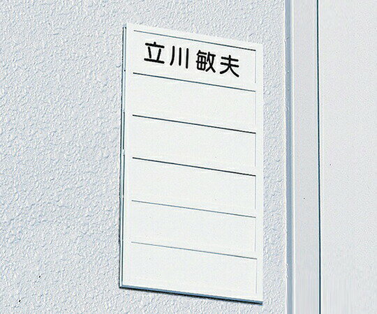 �͡���ץ졼�� 6���� DL-6