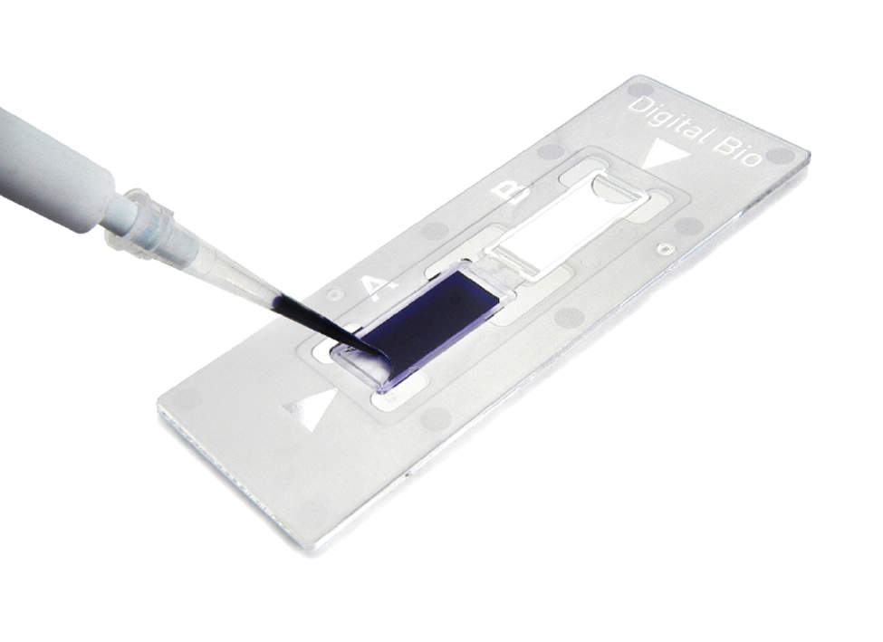 ディスポ細胞計算板C-Chip DHC-B02 50枚入