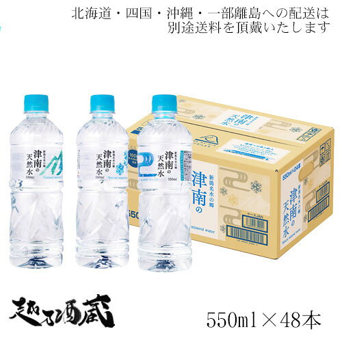 񻺿̾ζŷʥߥͥ륦540ml48(2)