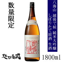 八海山 越後で候 純米大吟醸しぼりたて原酒 1800ml 【八海醸造】 新潟県 南魚沼市 清酒 日本酒 純大 要冷蔵