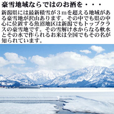 朝日松 五百万石 純米無濾過生原酒 1800ml 日本酒 新潟 魚沼 限定酒 クール配送推奨 越乃酒蔵限定酒