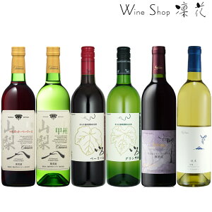 地理的表示『G.I 山梨』6本セット お中元 お歳暮 母の日 父の日 ギフト 飲み比べ 現行ヴィンテージ ギフト お祝い 誕生日 ありがとう 熨斗 プレゼント ワインセット 日本ワイン 赤ワイン ポリフェノール 白ワイン 厳選 至極 wine 家飲み パーティー あす楽 送料無料