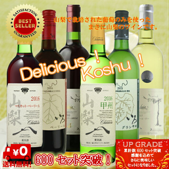 地理的表示『G.I 山梨』6本セット お中元 お歳暮 母の日 父の日 ギフト 飲み比べ 現行ヴィンテージ ギフト お祝い 誕生日 ありがとう 熨斗 プレゼント ワインセット 日本ワイン 赤ワイン ポリフェノール 白ワイン 厳選 至極 wine 家飲み パーティー あす楽 送料無料