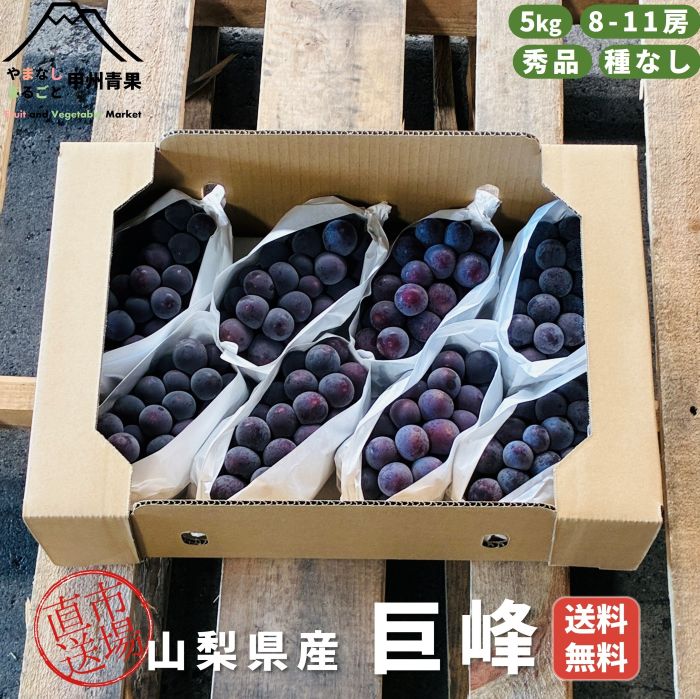楽天市場】山梨 巨峰 種なしの通販