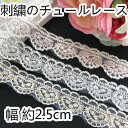 ★送料無料★5m 幅2.5cm チュールレース 花柄 チュール 手芸用レース 手作り ダンス衣装 アクセサリー/ヘアアクセ/衣装/リメイク/ラッピング/パーツ/資材/材料/カーテン/カバー/