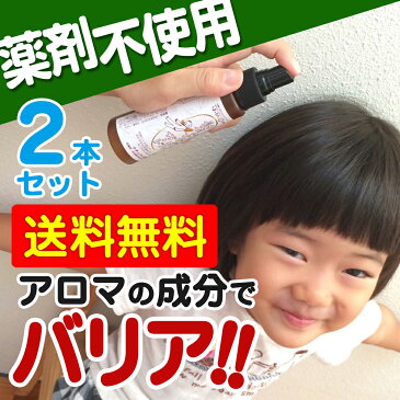 髪のナチュラルガード(100ml)　2個セット 頭皮や髪を健やかに子どもから使えるヘアスプレー 子どもの髪のお悩み対策 赤ちゃん 子供 沖縄子育て良品