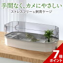 【ブラックフライデー限定★P+7倍】両生類 ケージ お掃除しやすい 爬虫類 飼育ケース アクリル カメ ケージ 大 亀 水槽 亀水槽 大きい カエル トカゲ レオパ 飼育 テラリウム 飼育セット
