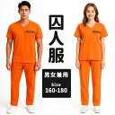 【選べるサイズ】ハロウィン 囚人服 コスプレ オレンジ 囚人 衣装 半袖 プリズナー 仮装 死刑囚 コスチューム 犯人 コス メンズ レディース 大人