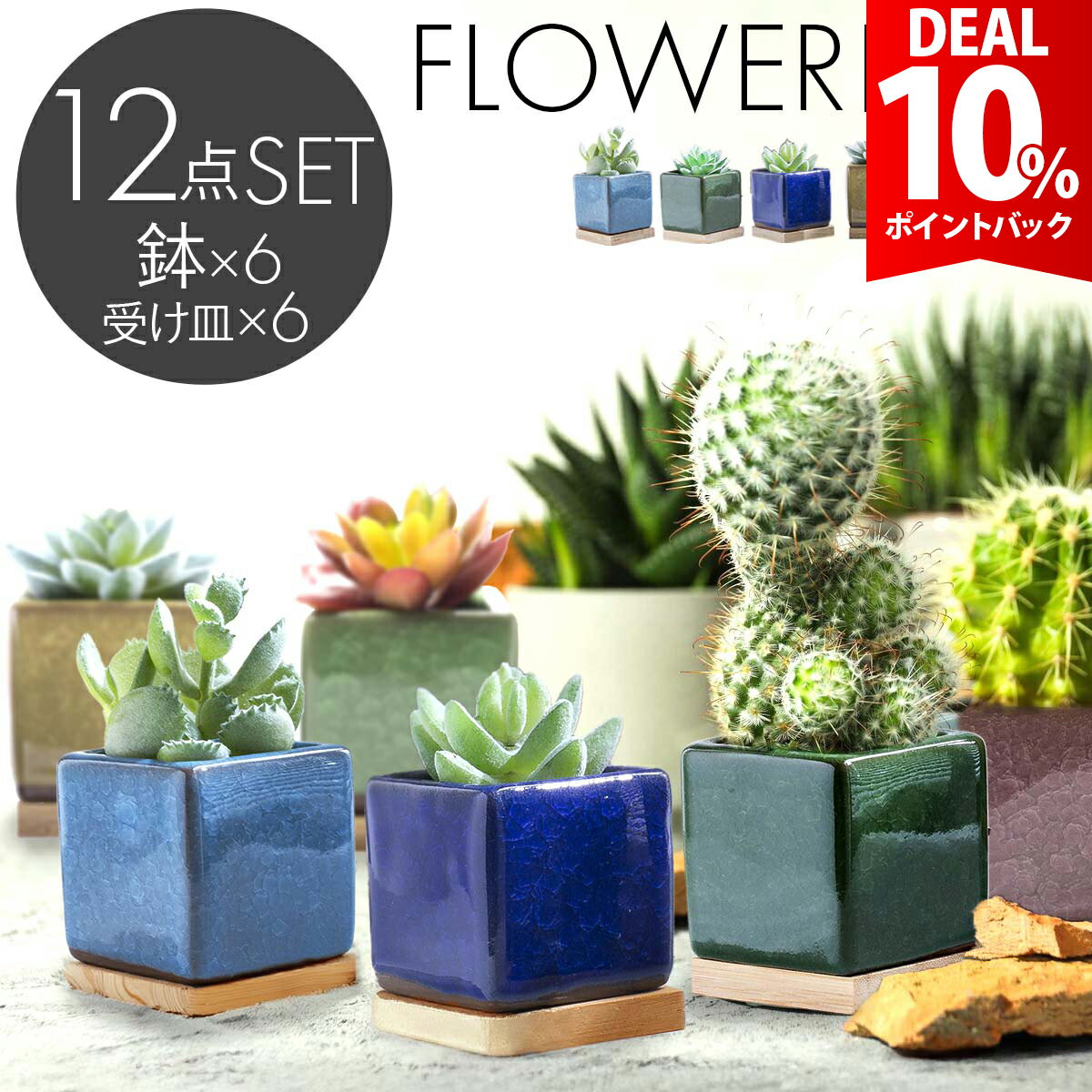 Rakuten - 【DEAL 10%還元】【 6点セット 】 植木鉢 おしゃれ 陶器 プランター 多肉植物 鉢 植木鉢 小さい 観葉植物 鉢 陶器鉢 1号 2号 サボテン 鉢植え 小型 多肉 寄せ植え