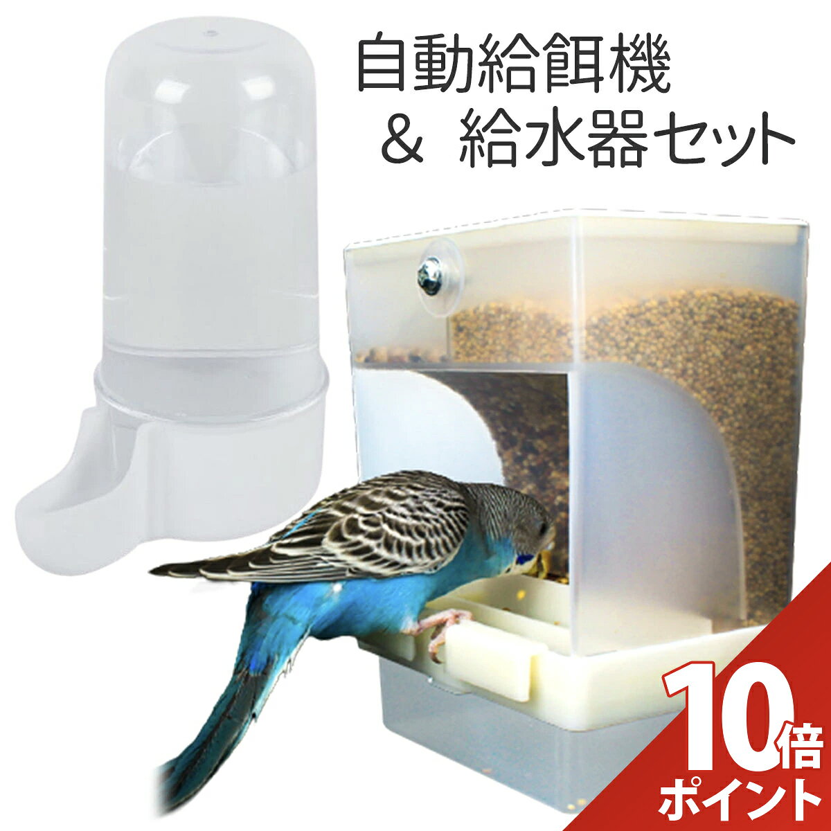 楽天市場】鳥 餌入れ フック（鳥用品｜ペット・ペットグッズ）の通販