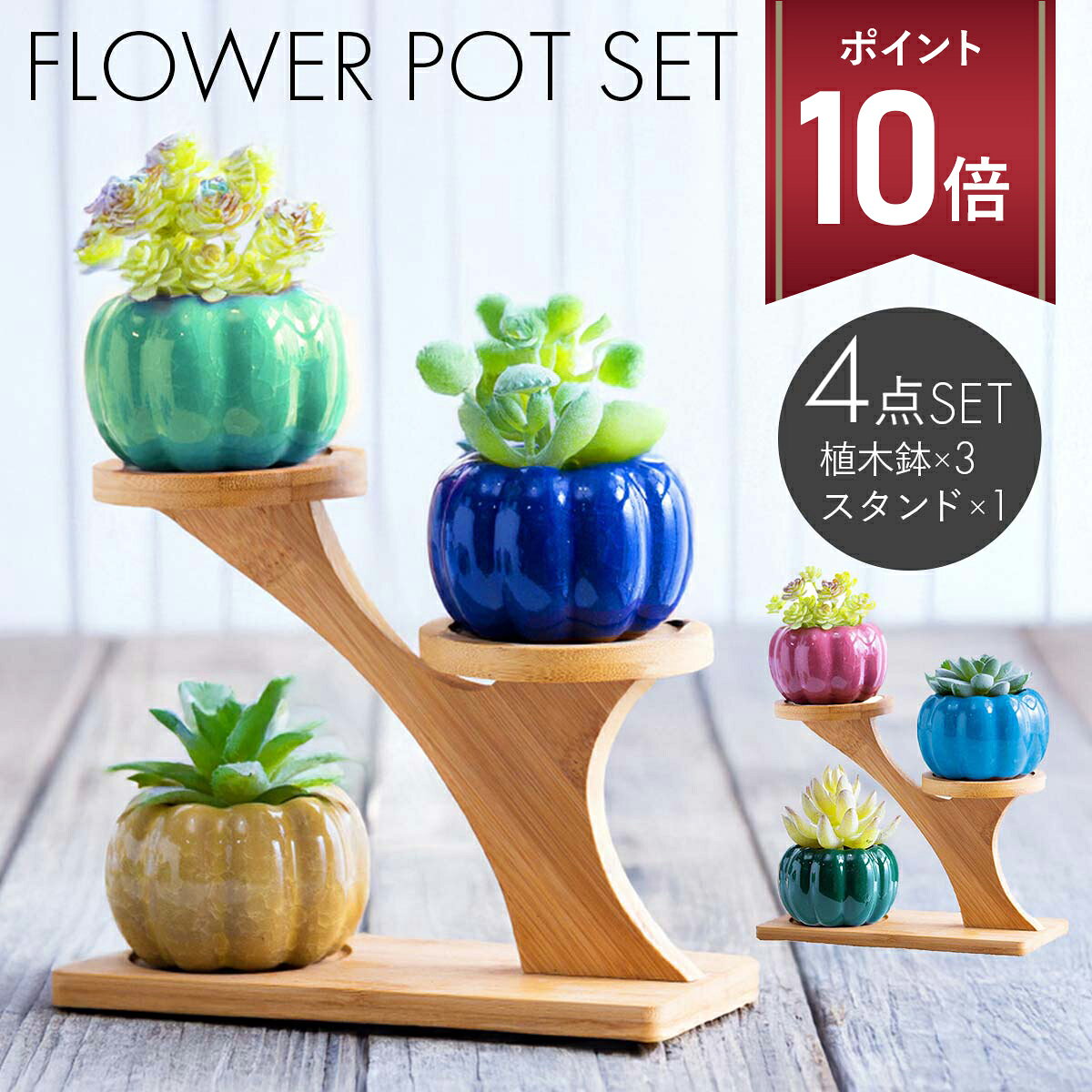 楽天市場】サボテン 寄せ植え（植木鉢｜植木鉢・プランター